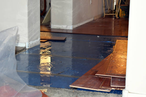 Professional Water Damage Repair technician working in Overpeck, OH